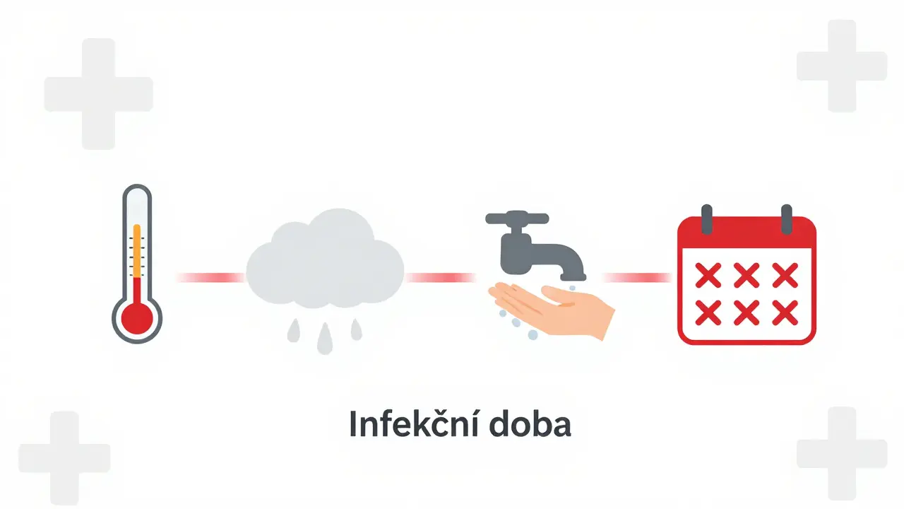 Časová osa ukazuje, jak dlouho je dítě infekční po virové infekci s klíčovými ikonami.